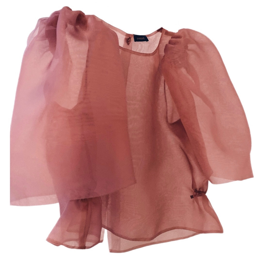 The Arlette Top by Noémiah is a sheer, rose-colored design made from silk organza with voluminous sleeves. It features a loose, flowy silhouette and a lightweight, semi-transparent fabric for an effortlessly airy appearance.