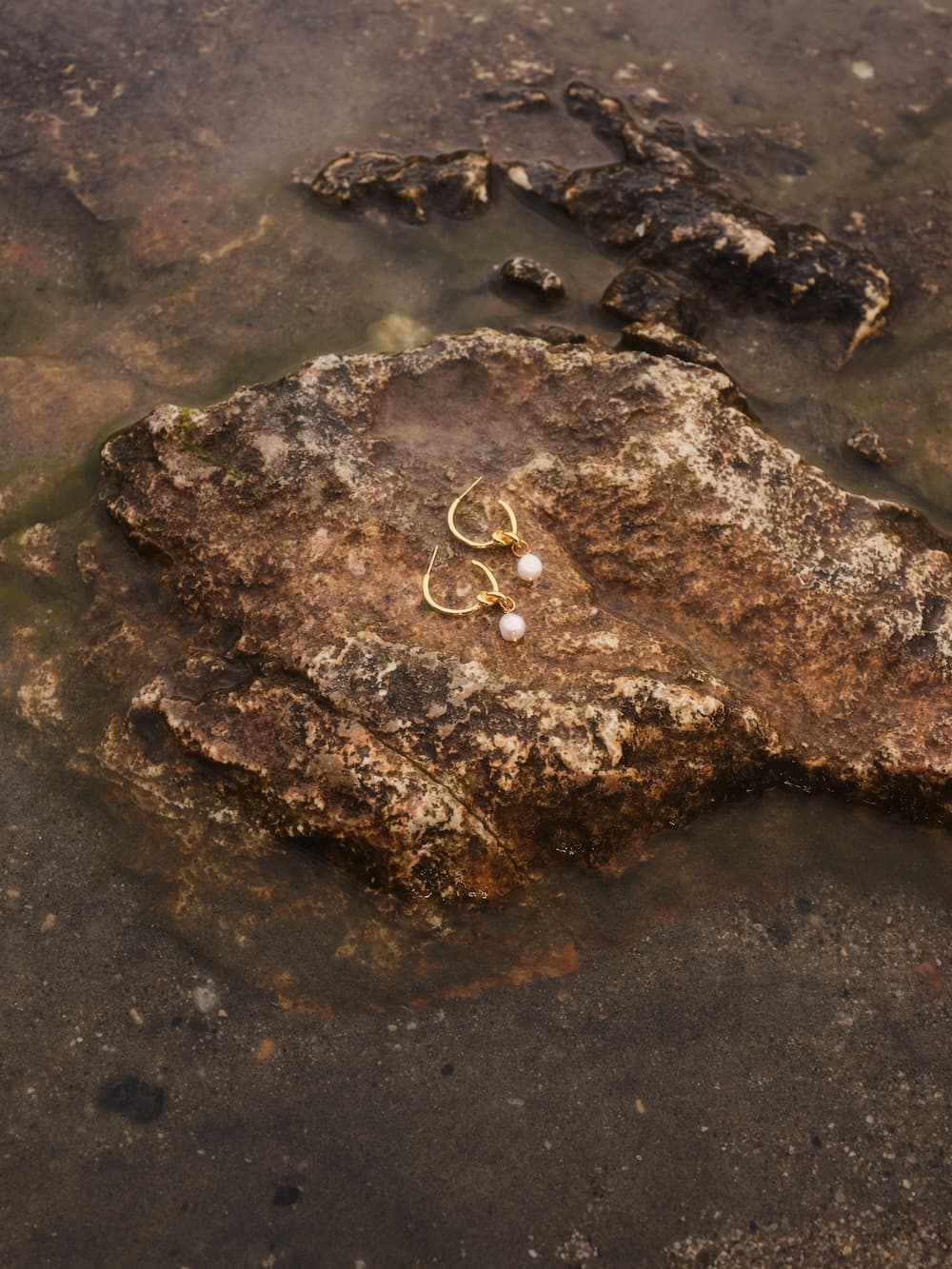 The Catherine Earrings by Noémiah, featuring gold-plated hoops adorned with pink gemstones, rest elegantly on a wet, textured rock. Surrounded by shallow water, they catch the subtle sheen of freshwater pearls.