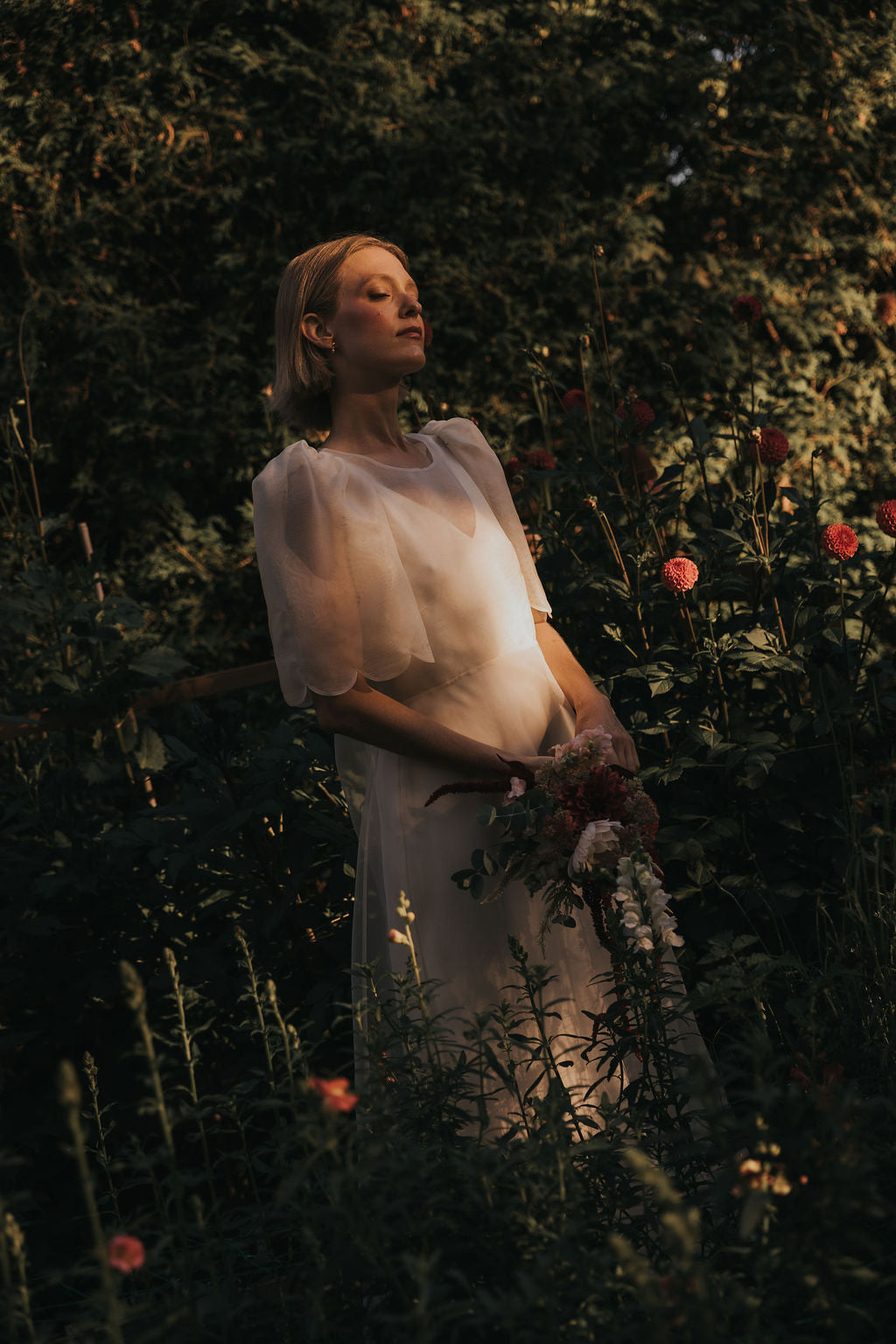 Chloé Dress