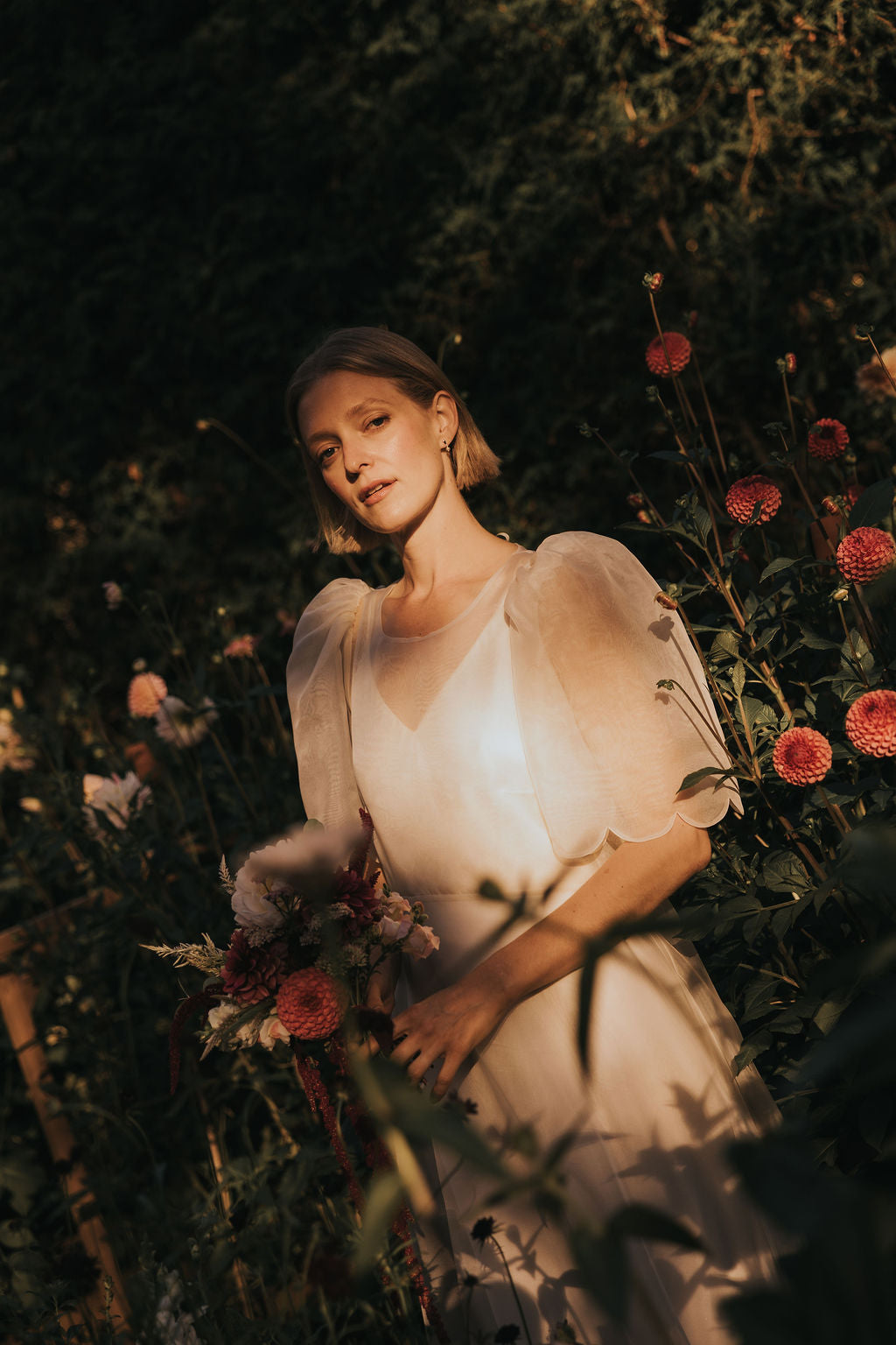 Chloé Dress