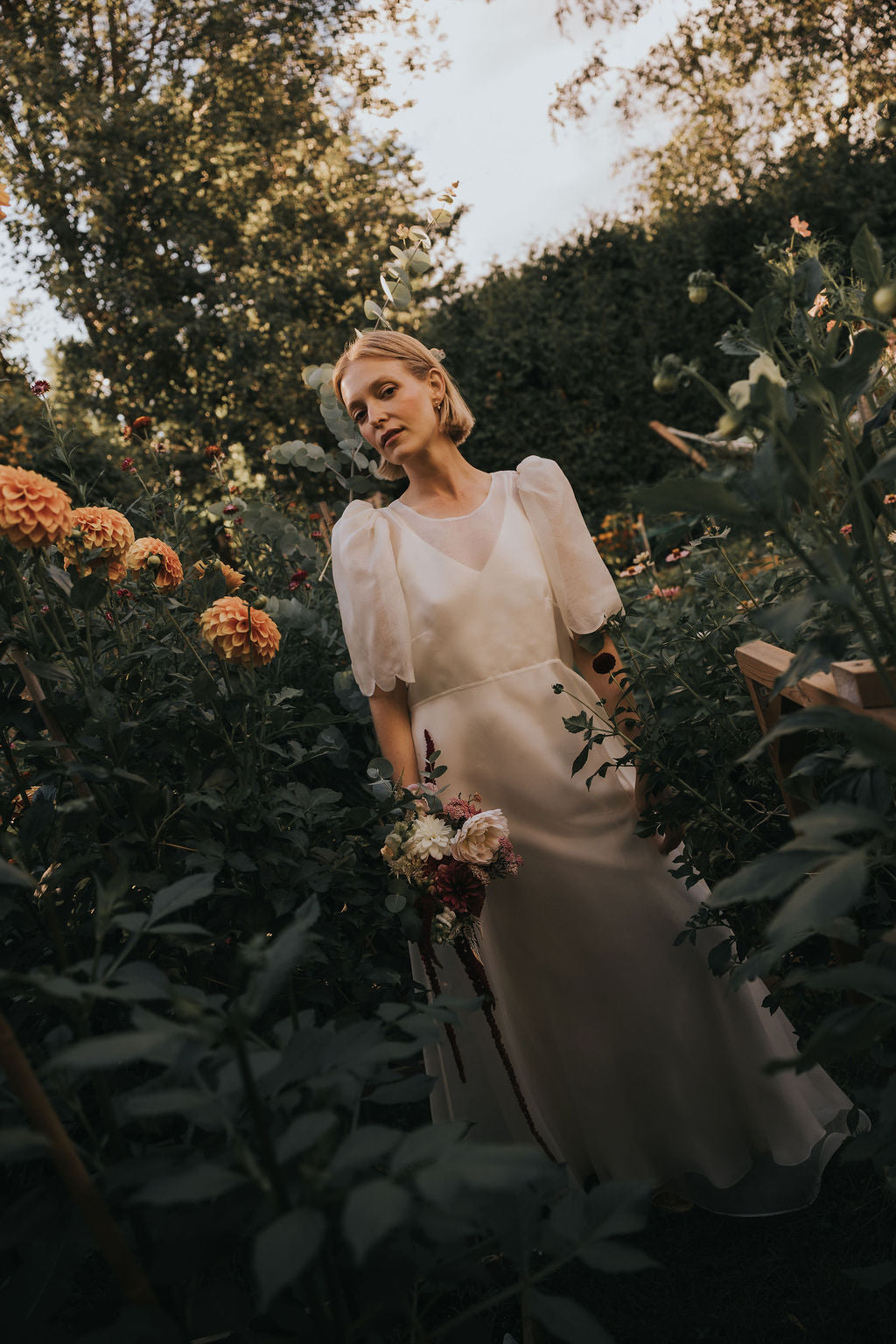 Chloé Dress
