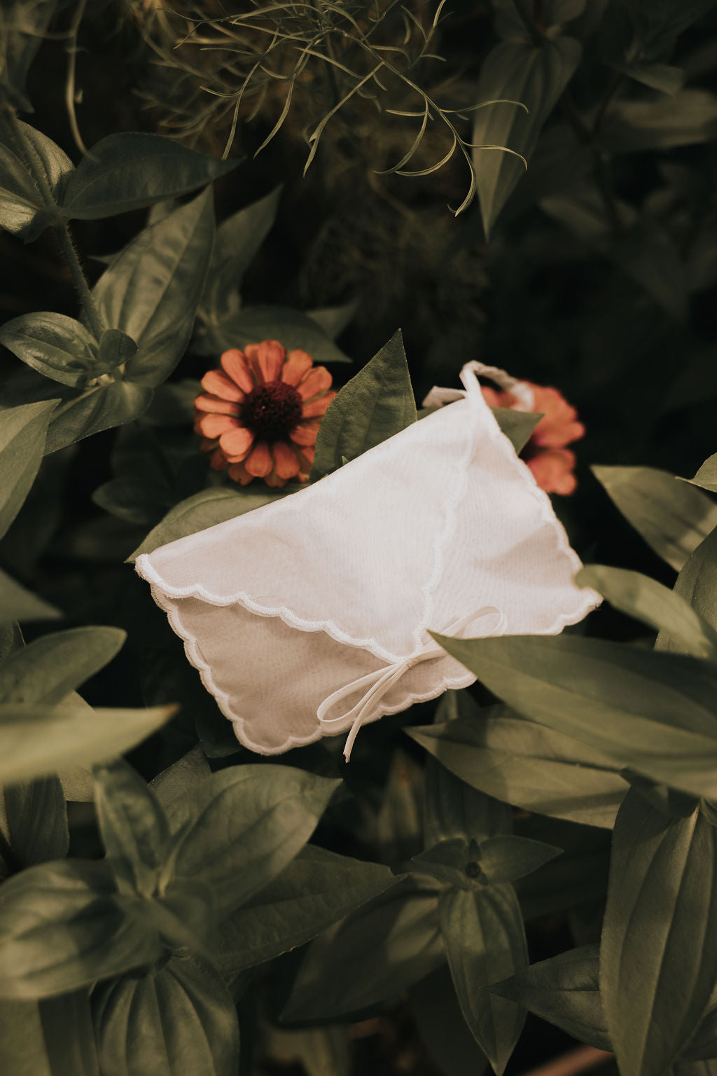 Envelope