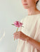 A person in a light, textured dress holds a single pink peony, adorned with the Frida Bracelet by Noémiah, which is gold-plated and set with small pearls. The background features a soft, neutral color.