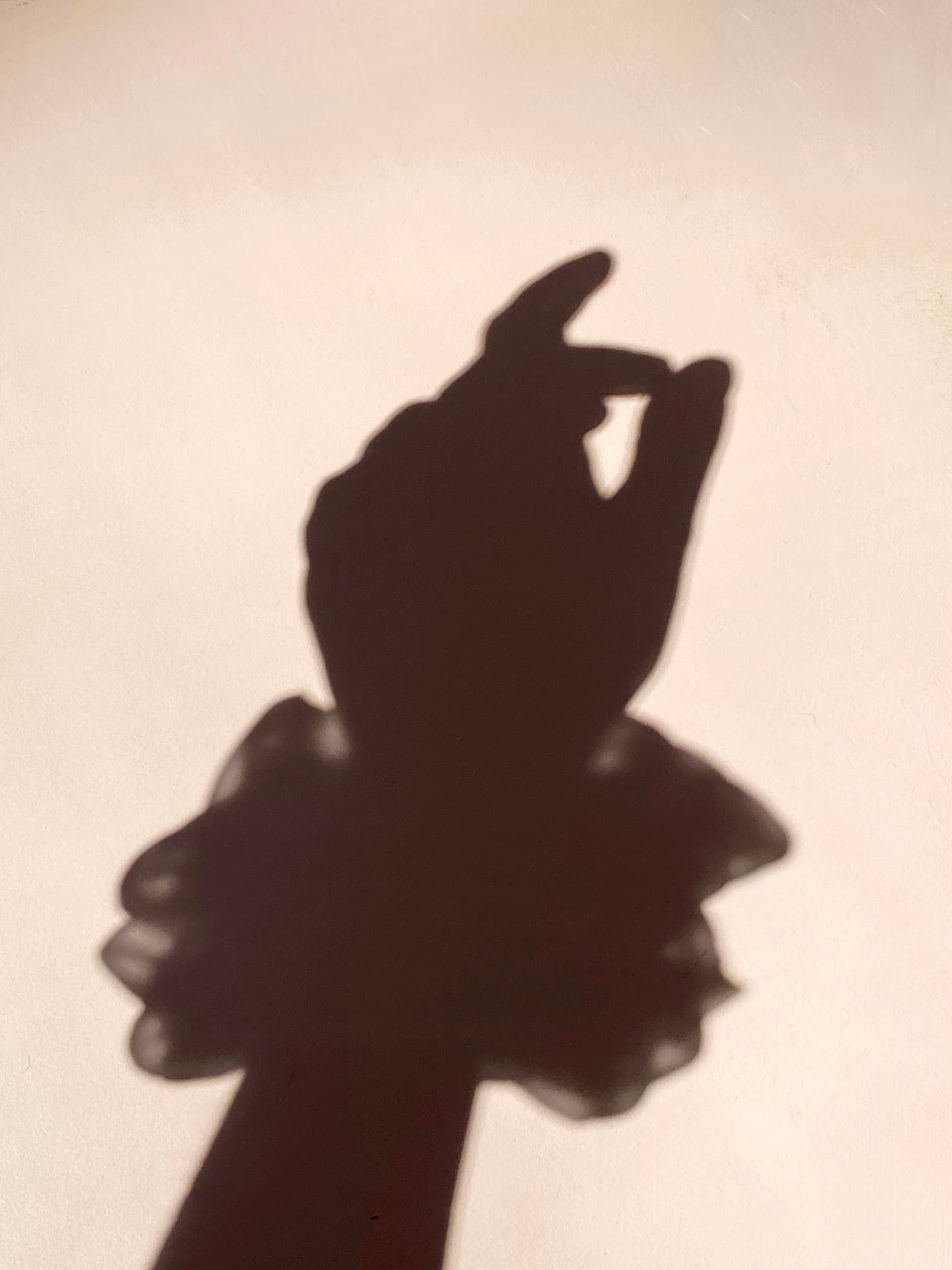 A silhouette of a hand adorned with a Noémiah scrunchie from the Three Scrunchies set is outlined against a light background, exuding elegance akin to 100% silk organza.